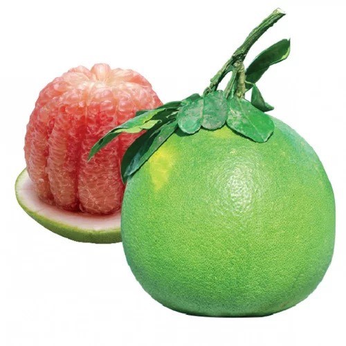 Pomelo Rosa