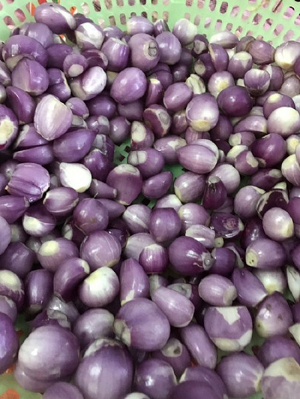 Cebollas peladas