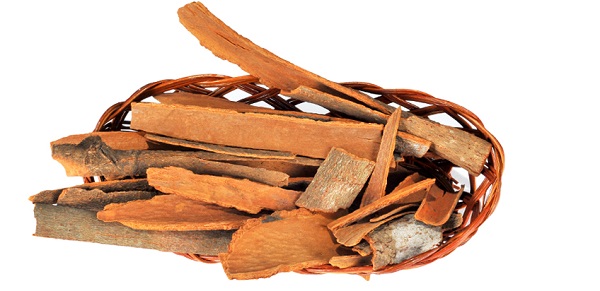 Canela