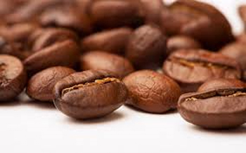 Café arábica
