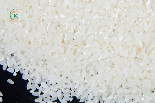 Arroz Japonica 5% Roto