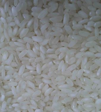 Arroz Mediano de Vietnam 5% Roto