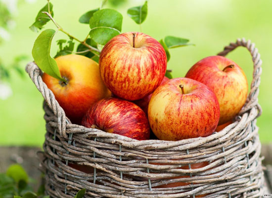 Manzana