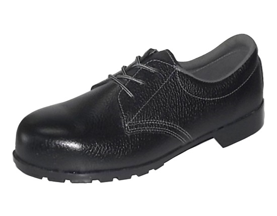 Zapatos protectores