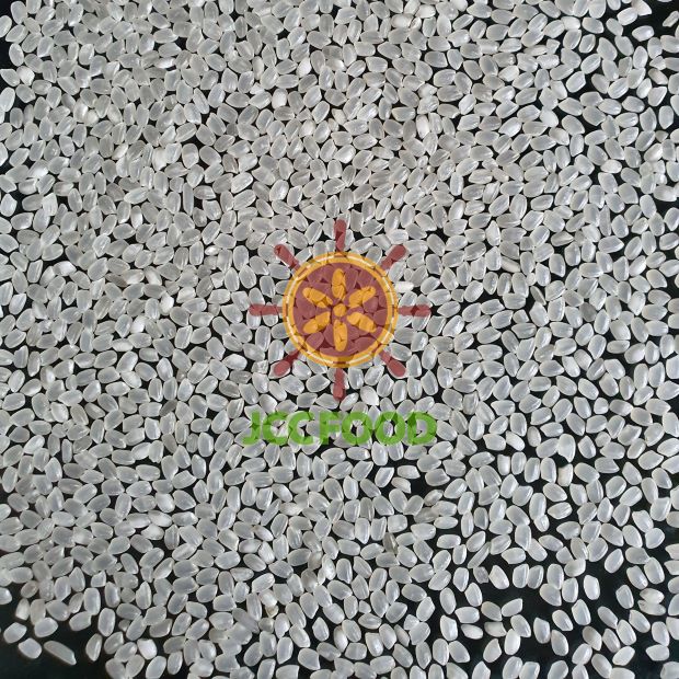 Arroz blanco de grano redondo