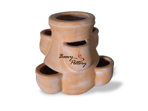Macetas de terracota de fresa