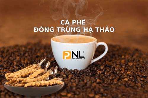 Procesamiento de Café Cordyceps