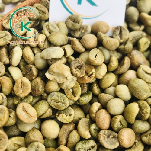 Café verde robusta limpiado en seco - Comercial