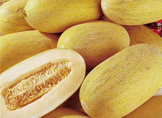 Melón cantalupo