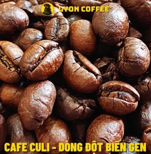Café Peaberry