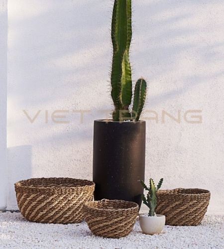Cesta de mimbre para plantas acuáticas