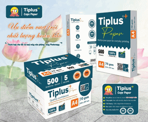 HCMC Papel A4, Papel de Fotocopia con Precio Razonable P...