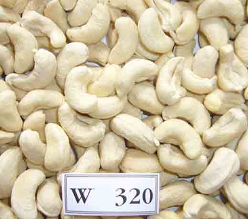 Núcleos de anacardo blanco W320