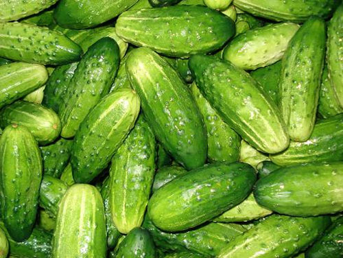 Pepino