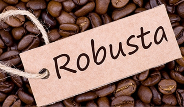 Café Robusta