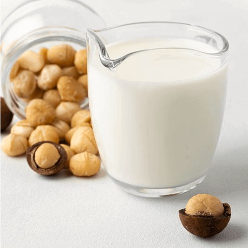 Procesamiento de Leche de Macadamia