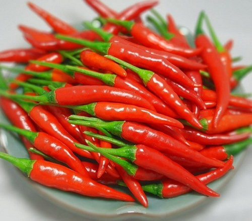 Chile fresco