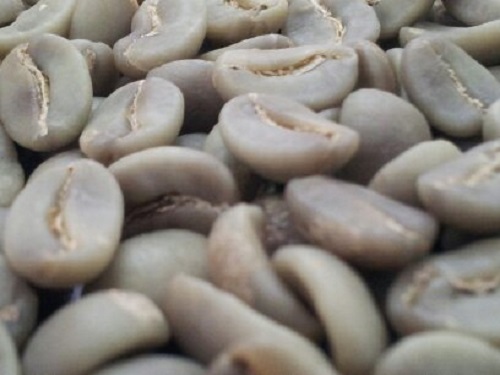 Granos de café Arábica