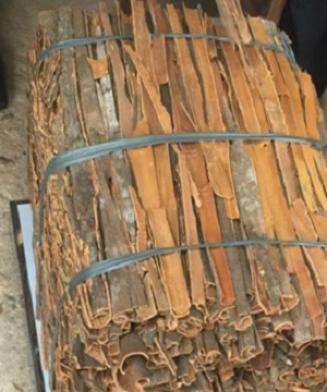 Canela de Cassia Rota