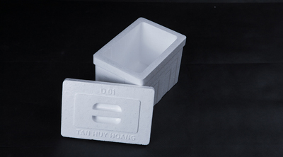 Caja de EPS de poliestireno expandido