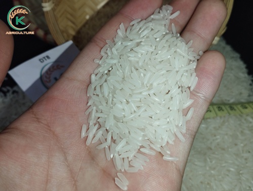 Arroz partido DT08 5%