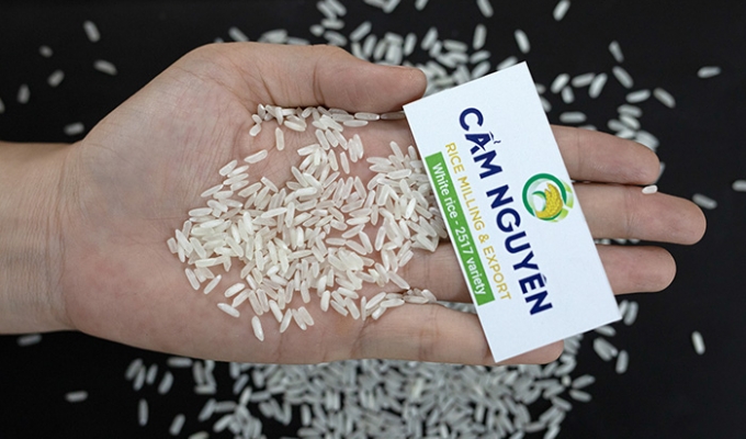 2517 Arroz Blanco