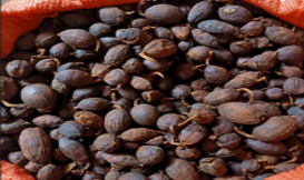 Cardamomo
