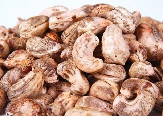 Nueces de anacardo crudas con cáscara