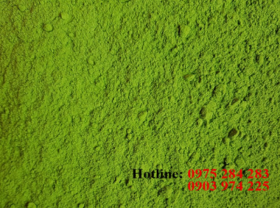 Polvo de cebollino