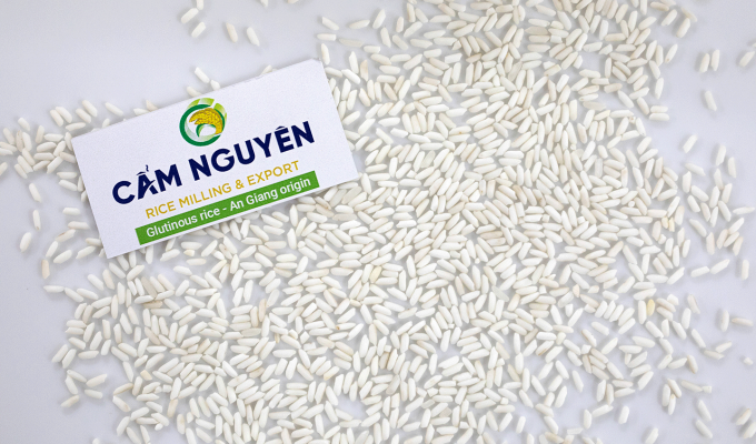 Arroz pegajoso de An Giang