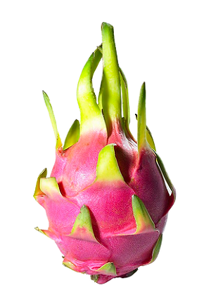 Pitaya