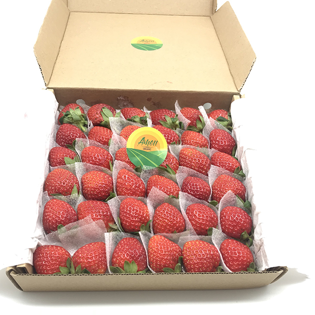 Fresa fresca