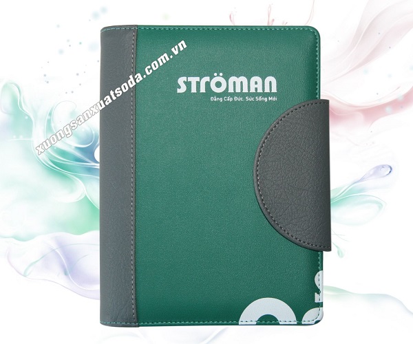 Cuaderno de cuero verde