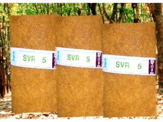 SVR5 Caucho