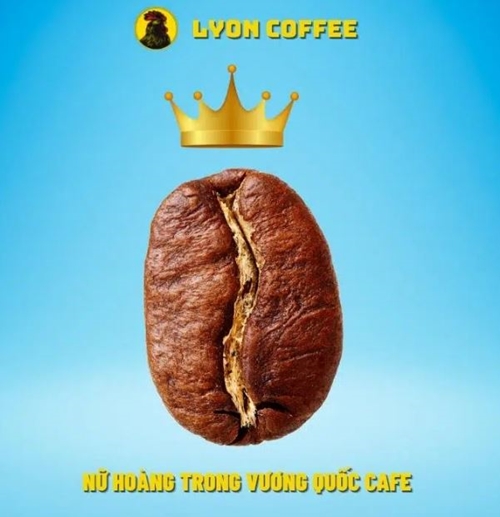 Granos de café Cau Dat Moka