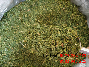 Polvo de apio