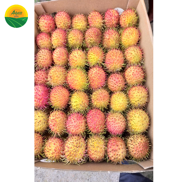 Rambután fresco