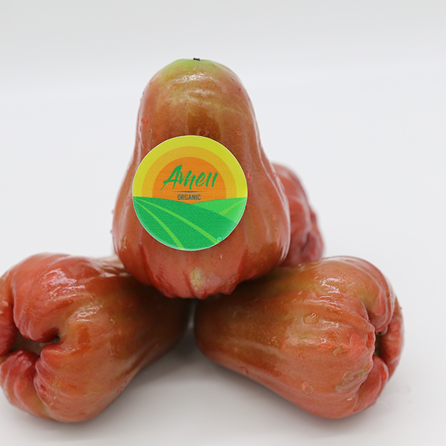 Manzana rosa fresca