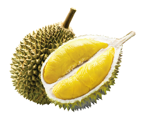 Durian