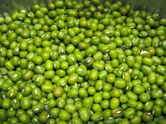 Judías verdes