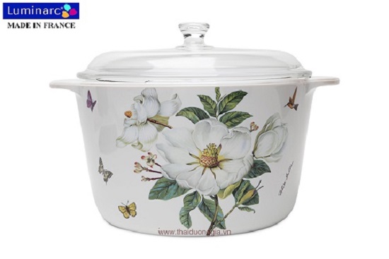 Maceta de porcelana de vidrio