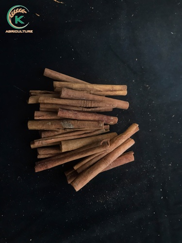 Cigarrillo/Dedo Canela