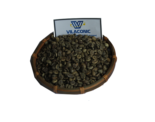 Granos de café Arábica