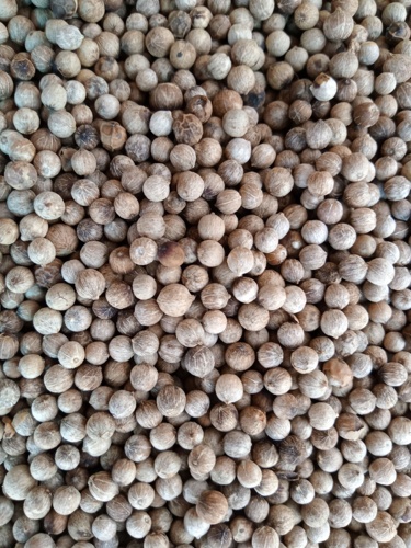 Pimienta blanca