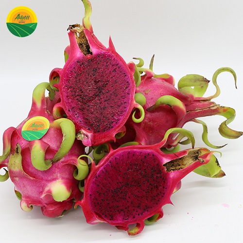 Pitahaya roja