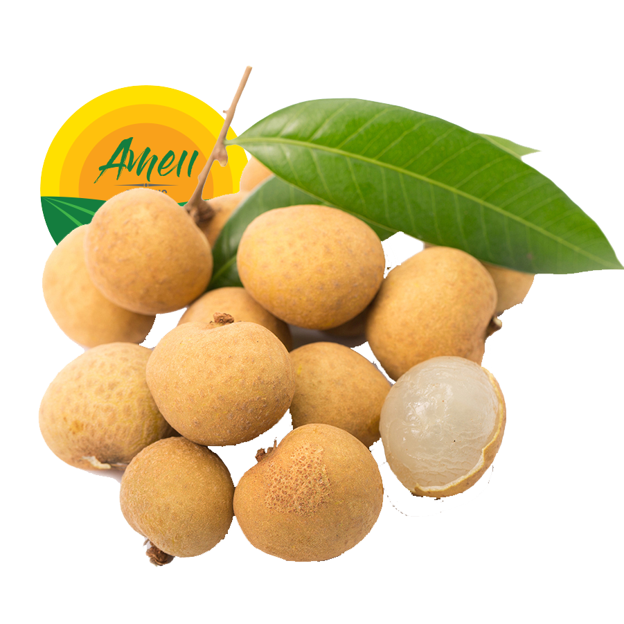 Longan fresco