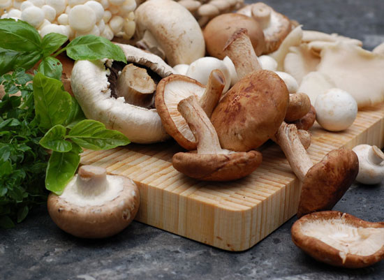 Hongos Shiitake