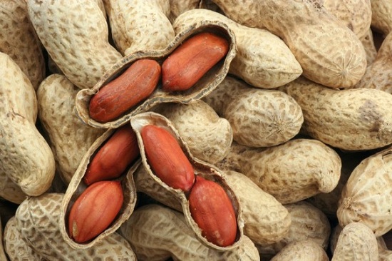Cacahuetes indios