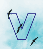 VIC Transporte Internacional de Contenedores S.A.
