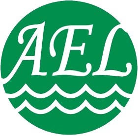 Línea Expresa Asiática Vietnam (A.E.L Viet Nam) en español